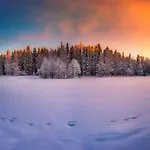 Petaeys 4* Tyrväntö